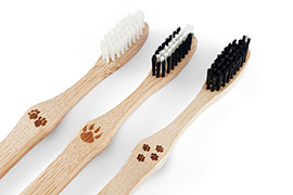 Bamboo Tooth Brushes (Single)